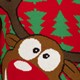 Heren kersttrui Rudolf