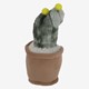 Plant knuffel