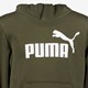 ESS Col 2 Big Logo kinder hoodie donkergroen