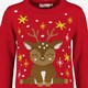 Kinder kersttrui met Rudolf