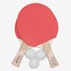 Tafeltennis set