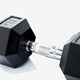 Hex Dumbbell 17.5 KG