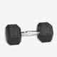 Hex Dumbbell 10 KG