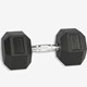 Hex Dumbbell 20 KG