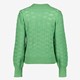 Dames trui gebreid groen