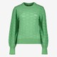 Dames trui gebreid groen