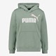 ESS 2 Col Big Logo FL kinder hoodie groen