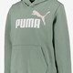 ESS 2 Col Big Logo FL kinder hoodie groen