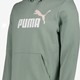 Essentials 2 Color No. 1 Logo heren hoodie groen