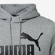 Essentials Big Logo heren hoodie grijs