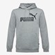 Essentials Big Logo heren hoodie grijs