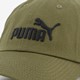Essentials Logo pet groen