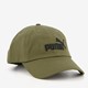 Essentials Logo pet groen