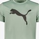 M Tad Essentials Solid Cat heren T-shirt