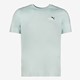 Ess 2 Color No. 1 Logo heren T-shirt groen