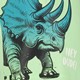 Jongens T-shirt met Triceratops groen