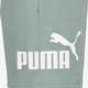Essentials NO1 Logo kinder sweatshort groen