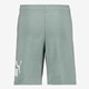 Essentials NO1 Logo kinder sweatshort groen