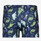 Jongens zwembroek blauw met dino