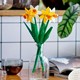 LEGO Flowers 40747 Narcissen