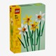 LEGO Flowers 40747 Narcissen