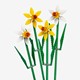 LEGO Flowers 40747 Narcissen
