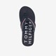 Heren teenslippers blauw