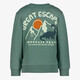 Jongens sweater met dino backprint groen