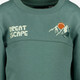 Jongens sweater met dino backprint groen