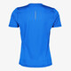 Dry heren hardloop T-shirt blauw