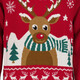 Foute kersttrui heren met rendier rood