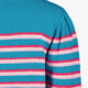 Dames trui met roze strepen