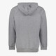 Rival Fleece Logo heren hoodie grijs