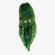 Kinder pantoffels krokodil groen