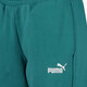 ESS NO. 1 Logo FL CL S heren joggingbroek groen