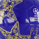 UEFA Champions League voetbal blauw goud