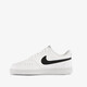 Court Vision Low Next Nature dames sneakers wit zwart