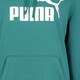 ESS No. 1 Logo 2 heren hoodie groen