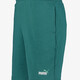 Ess 2 Color No. 1 heren sweatshort groen