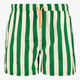 Gestreepte heren zwembroek groen beige