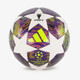 UCL mini voetbal wit paars