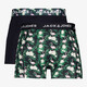 2-pack heren boxershorts met flamingo