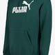 Essentials No. 1 Logo heren hoodie groen