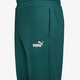 ESS NO. 1 Logo FL CL S heren joggingbroek groen