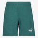 ESS 2 Color No. 1 Logo kinder short groen