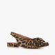 Dames panterprint slingbacks met knoop