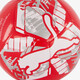 Big Cat mini voetbal rood
