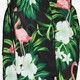 Heren zwemshort met flamingo groen