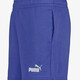 ESS 2 Color No. 1 Logo kinder short blauw