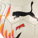 Puma Future Graphic voetbal